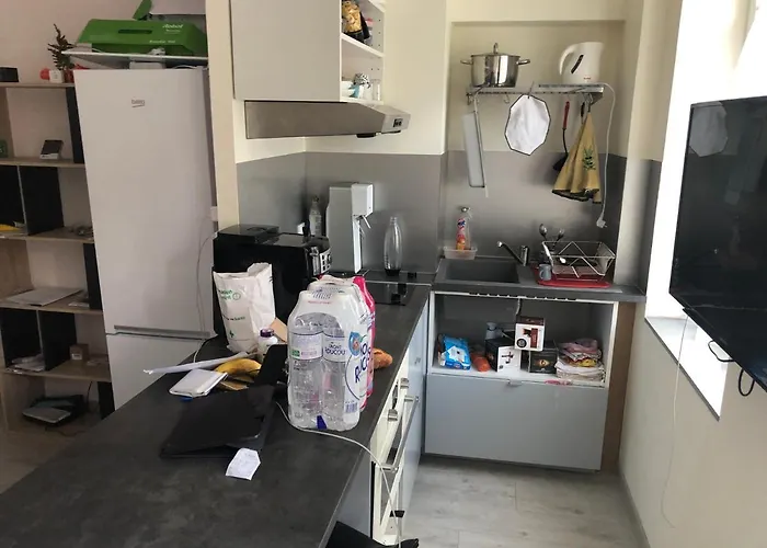 Calme Tres Bien Equipe 公寓 利雪