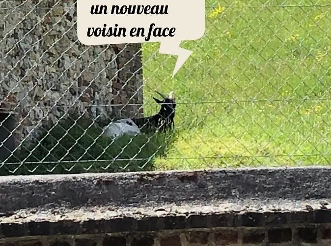 Calme Tres Bien Equipe 利雪